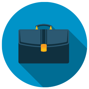 Portfolio Icon